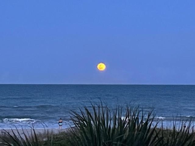 The Marlin - Cocoa Beach Daire Dış mekan fotoğraf